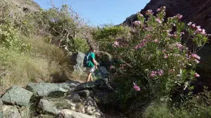 Richtis Gorge  - CRETE