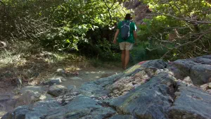 Richtis Gorge  - CRETE