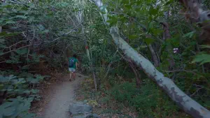 Richtis Gorge  - CRETE