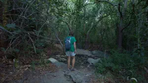 Richtis Gorge  - CRETE