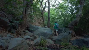 Richtis Gorge  - CRETE