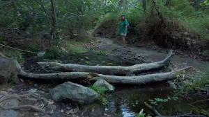 Richtis Gorge  - CRETE