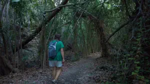 Richtis Gorge  - CRETE