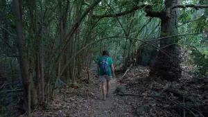 Richtis Gorge  - CRETE