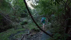 Richtis Gorge  - CRETE