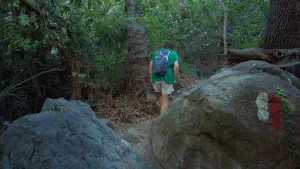 Richtis Gorge  - CRETE