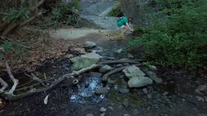 Richtis Gorge  - CRETE