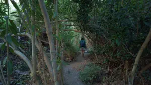 Richtis Gorge  - CRETE