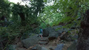 Richtis Gorge  - CRETE