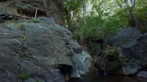 Richtis Gorge  - CRETE