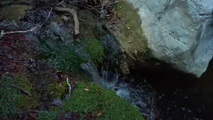 Richtis Gorge  - CRETE