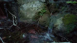 Richtis Gorge  - CRETE