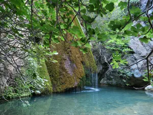 Richtis Gorge  - CRETE