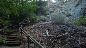 Richtis Gorge  - CRETE