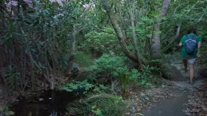 Richtis Gorge  - CRETE