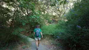 Richtis Gorge  - CRETE