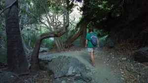 Richtis Gorge  - CRETE