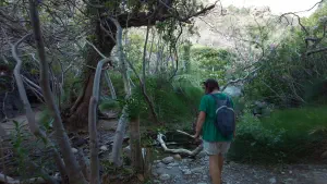 Richtis Gorge  - CRETE