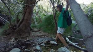 Richtis Gorge  - CRETE