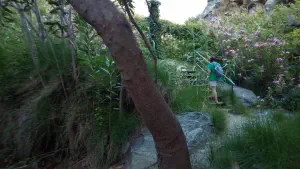 Richtis Gorge  - CRETE