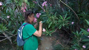 Richtis Gorge  - CRETE