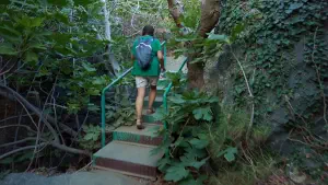 Richtis Gorge  - CRETE