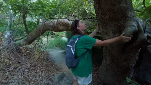 Richtis Gorge  - CRETE