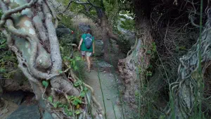 Richtis Gorge  - CRETE