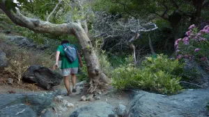 Richtis Gorge  - CRETE