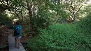 Richtis Gorge  - CRETE