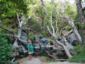 Richtis Gorge  - CRETE