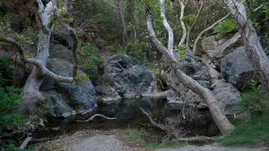 Richtis Gorge  - CRETE
