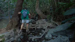 Richtis Gorge  - CRETE