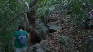 Richtis Gorge  - CRETE