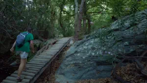 Richtis Gorge  - CRETE