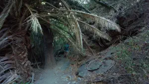 Richtis Gorge  - CRETE