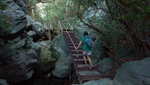 Richtis Gorge  - CRETE