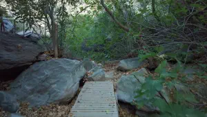 Richtis Gorge  - CRETE