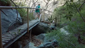 Richtis Gorge  - CRETE