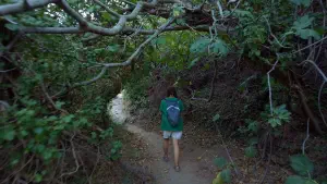 Richtis Gorge  - CRETE
