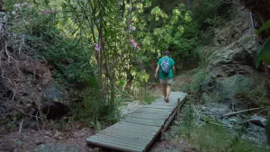Richtis Gorge  - CRETE