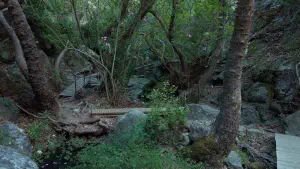 Richtis Gorge  - CRETE