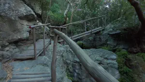 Richtis Gorge  - CRETE