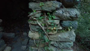 Richtis Gorge  - CRETE