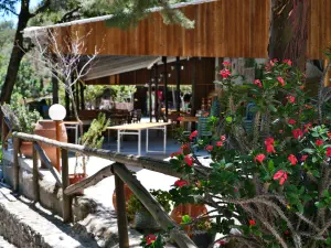 Sarakina Gorge  - CRETE