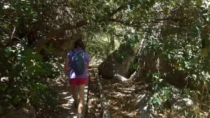 Sarakina Gorge  - CRETE