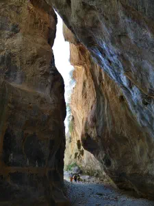 Sarakina Gorge  - CRETE