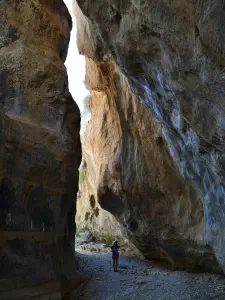 Sarakina Gorge  - CRETE