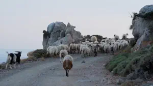 Stavromenos Church  - CRETE
