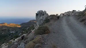 Stavromenos Church  - CRETE